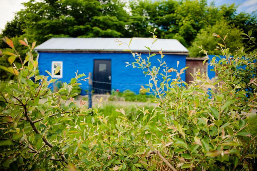 The Snowdon Inn - Y Fricsan Cwm-y-glo Szoba fotó